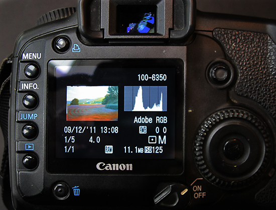 Photo of Camera Back with Histogram